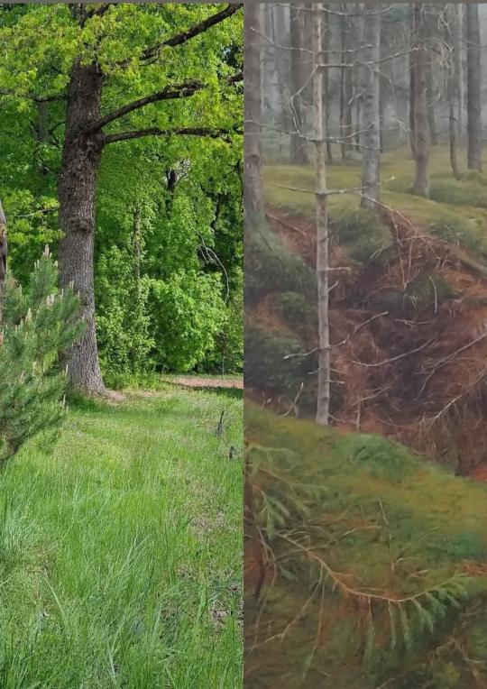 2026 m. rugpjūčio 19 d. 17 val. Laisvės kovų muziejuje renginys „Partizaniškas pavakarys“